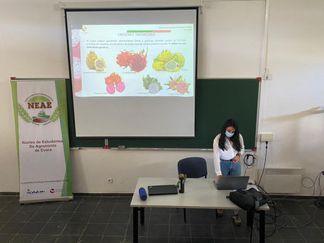 O GO Fruta Dragão marcou presença nas Terças Agronómicas da Universidade de Évora