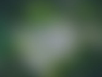 How green architecture can change the life of our planet