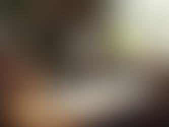 The start of an epic owl-spired adventure at The Agile Owl