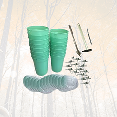 Maple Tree Tapping Starter Kits