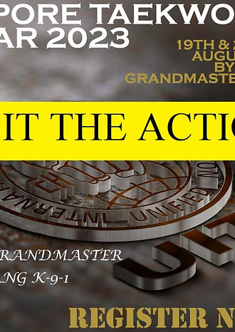 Singapore Seminar UITFS-PHOTOS.jpg