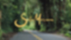 Website2.JPG