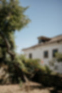 Quinta das Antas-0165.jpg