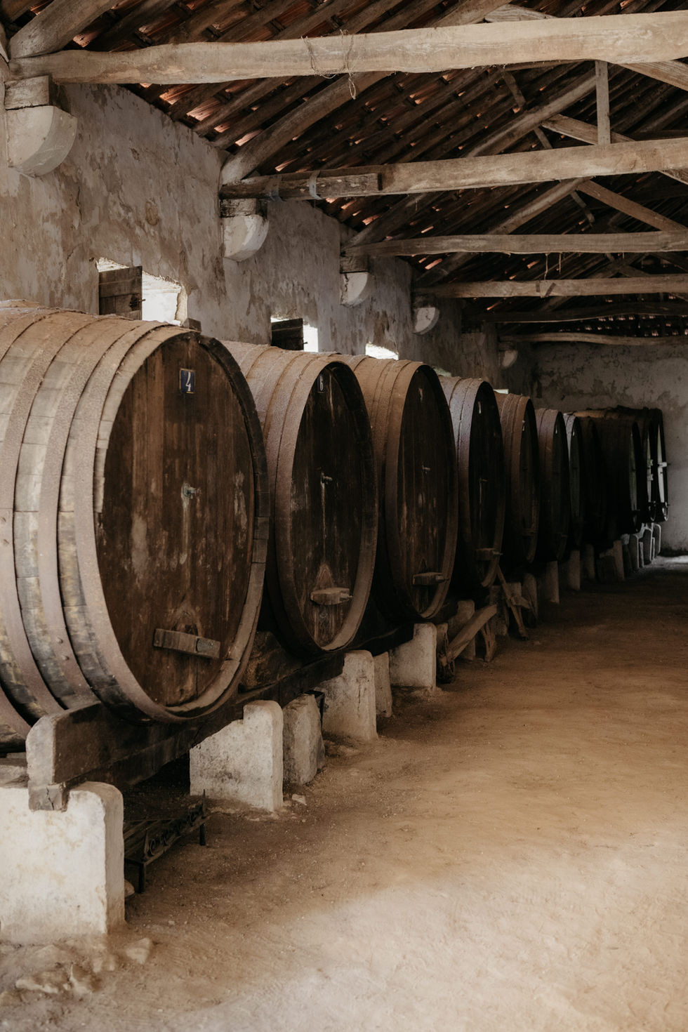Quinta das Antas-0097.jpg