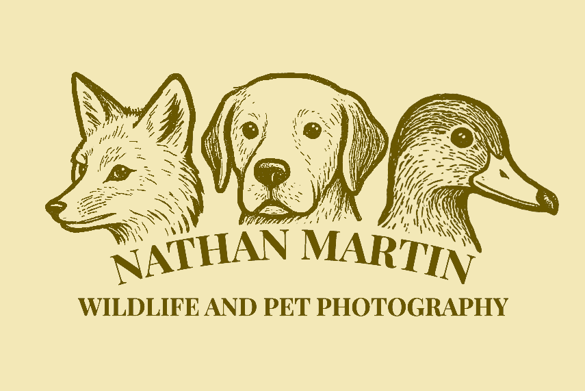 Nmartin.png