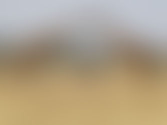 A SAFARI IS NOT A BOLT ON: HOW TO PLAN A SAFARI AND BEACH HOLIDAY PROPERLY.