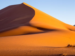 WHERE WILL 2026 TAKE YOU?