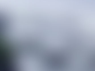 SOUTH AMERICA: NOTES FROM MY TRAVELS.