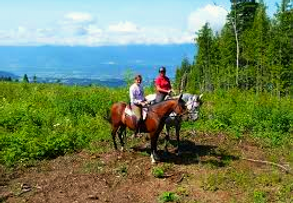 Horseback Riding
