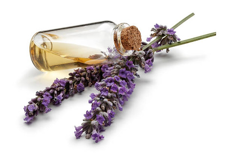 istockphoto-1161386072-612x612.jpg