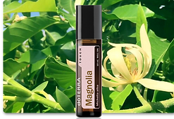 magnolia-oil-4.png
