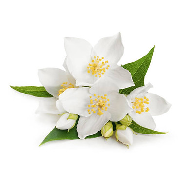 istockphoto-862596276-612x612.jpg