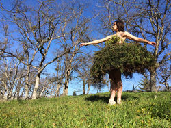 Ivy tutu, 2014
