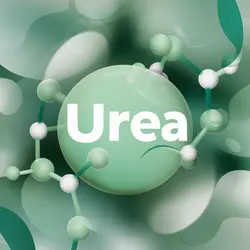 SAcetkS2T9aMZP3MROVPkg