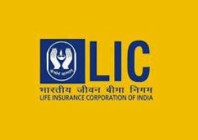 As IndusInd Bank's share price plummets 27% to an almost five-year low, LIC loses ₹965 crore.