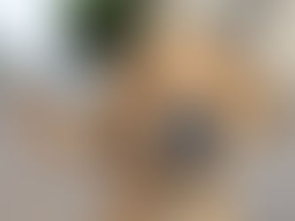 Our Phylosophy on canine education: The dog way