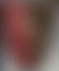 Fanion réalisé par les Soeurs Clarisse pour le Ch France Juniors 1965