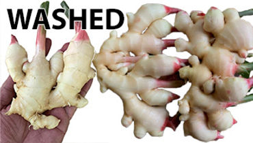 thailand-fresh-ginger-unwashed-1.jpg