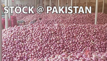 pakistan-india-red-onion-45mm-50mm-55mm-