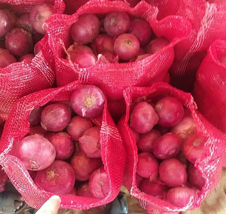 pakistan-india-red-onion-45mm-50mm-55mm-