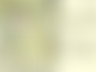 Wer war Witwe KAISER im Badehaus am Fürstenberg?