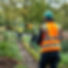 Create an image of a landscape crew wearing hi vis vests working on a project in an open p