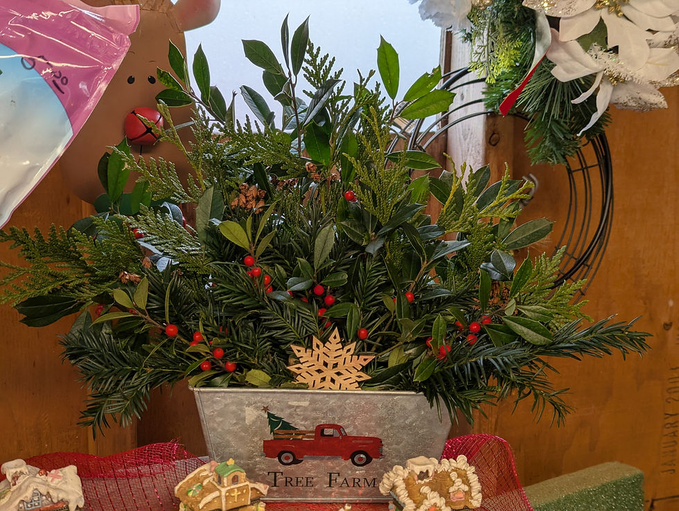 handmade evergreen arrangements
