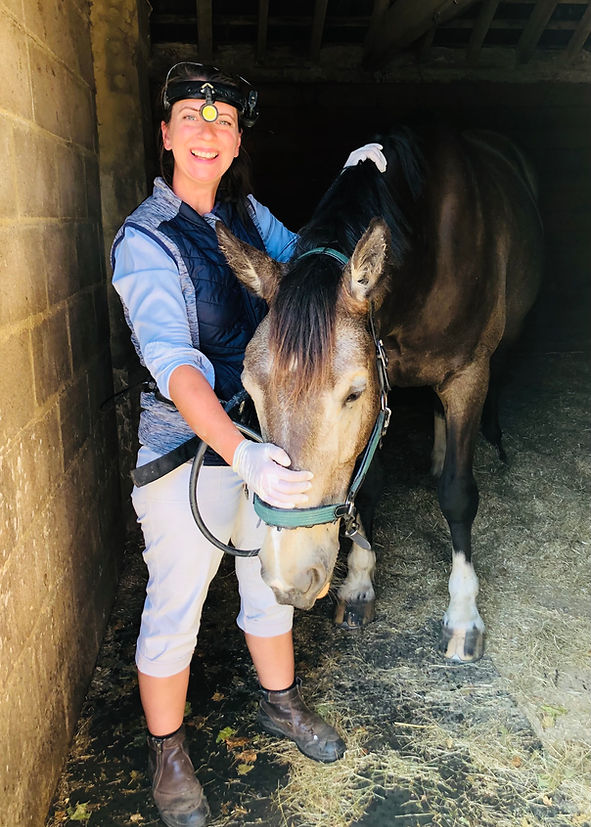 Equine Veterinary Physiotherapy | Lorna Brokenshire-Dyke