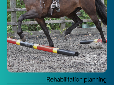 Rehabilitation planning