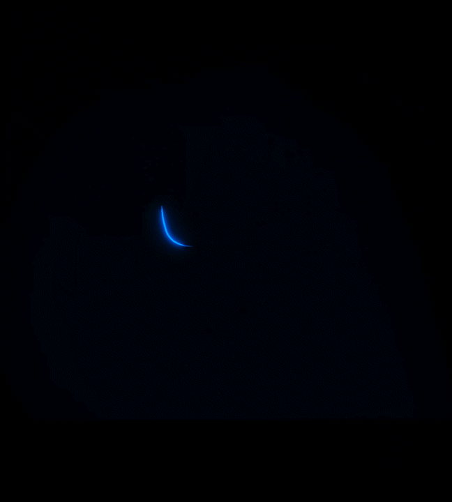 5.gif