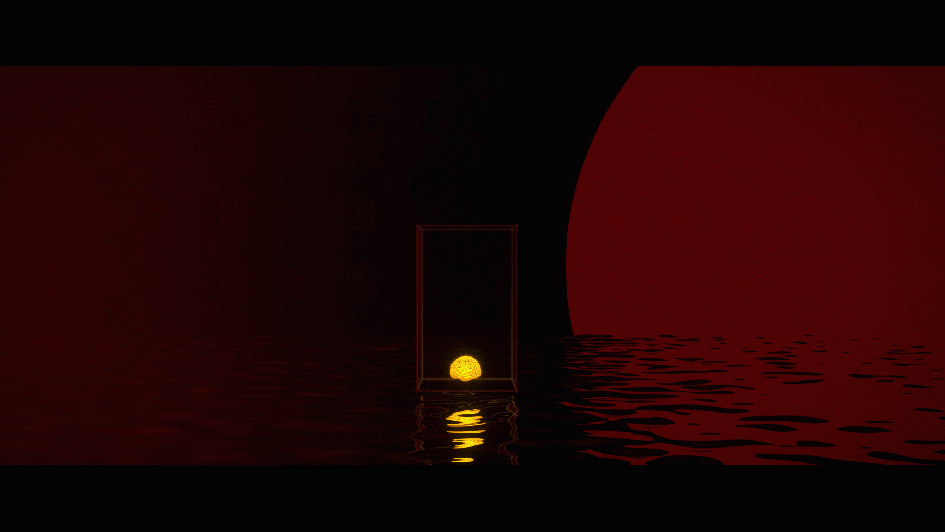 6.gif