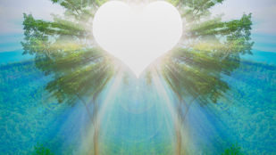 Power of the Empath