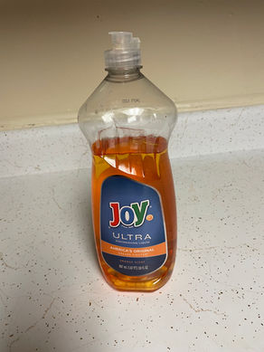 Joy in the Morning