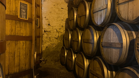 Douro Valley Wine Tour