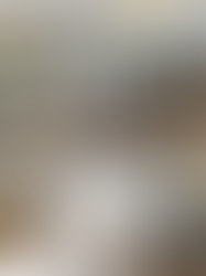 Por dentro do GM: O Saloon