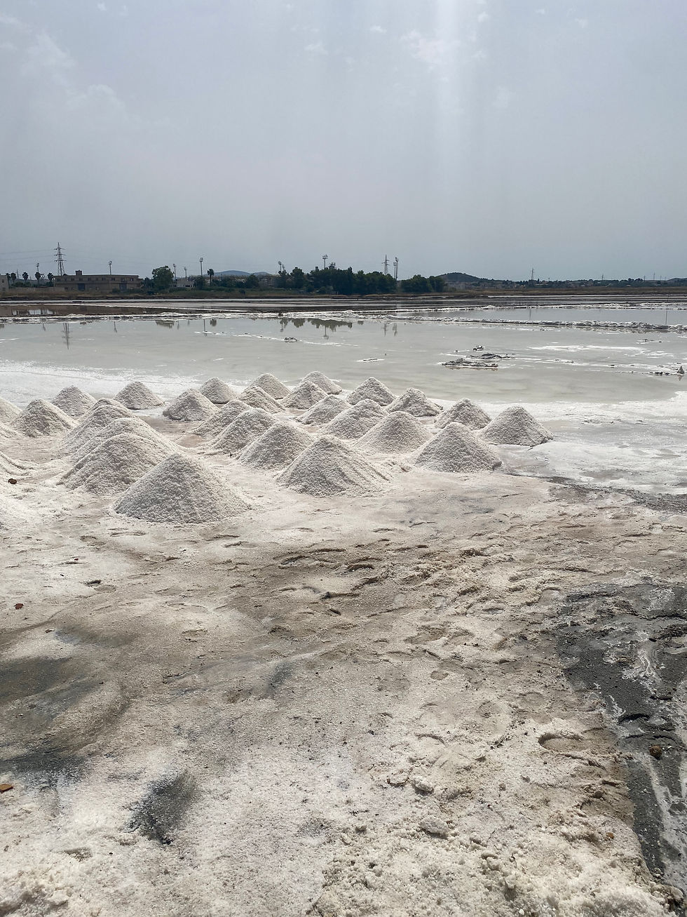 Itália - Sicília: Salinas de Trapani