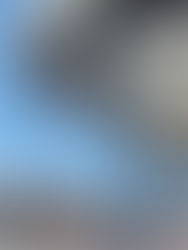 Moving Aboard: O setup - Acessórios de Capotaria e Tapeçaria (Marine Work e Upholstery)