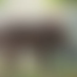 Tout est en lien, vous n’êtes pas séparé du monde !