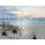 Thumbnail: Seagull Beach Sunset Canvas Art - Frameless 12X16" Ocean View