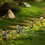 Thumbnail: Amazon Hot Sale Solar Powered LED Garden Lights