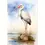 Thumbnail: 1pc STUNNING  Crane, Seaside Bird Beach Painting