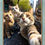 Thumbnail: BFF Selfie! Kitty Friends Selfie Graphic Painting