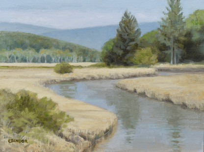 River Near Willapa Bay