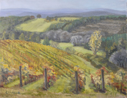 Pinot Noir in Autumn