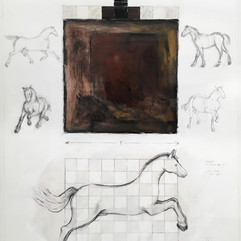 Equine Narrative