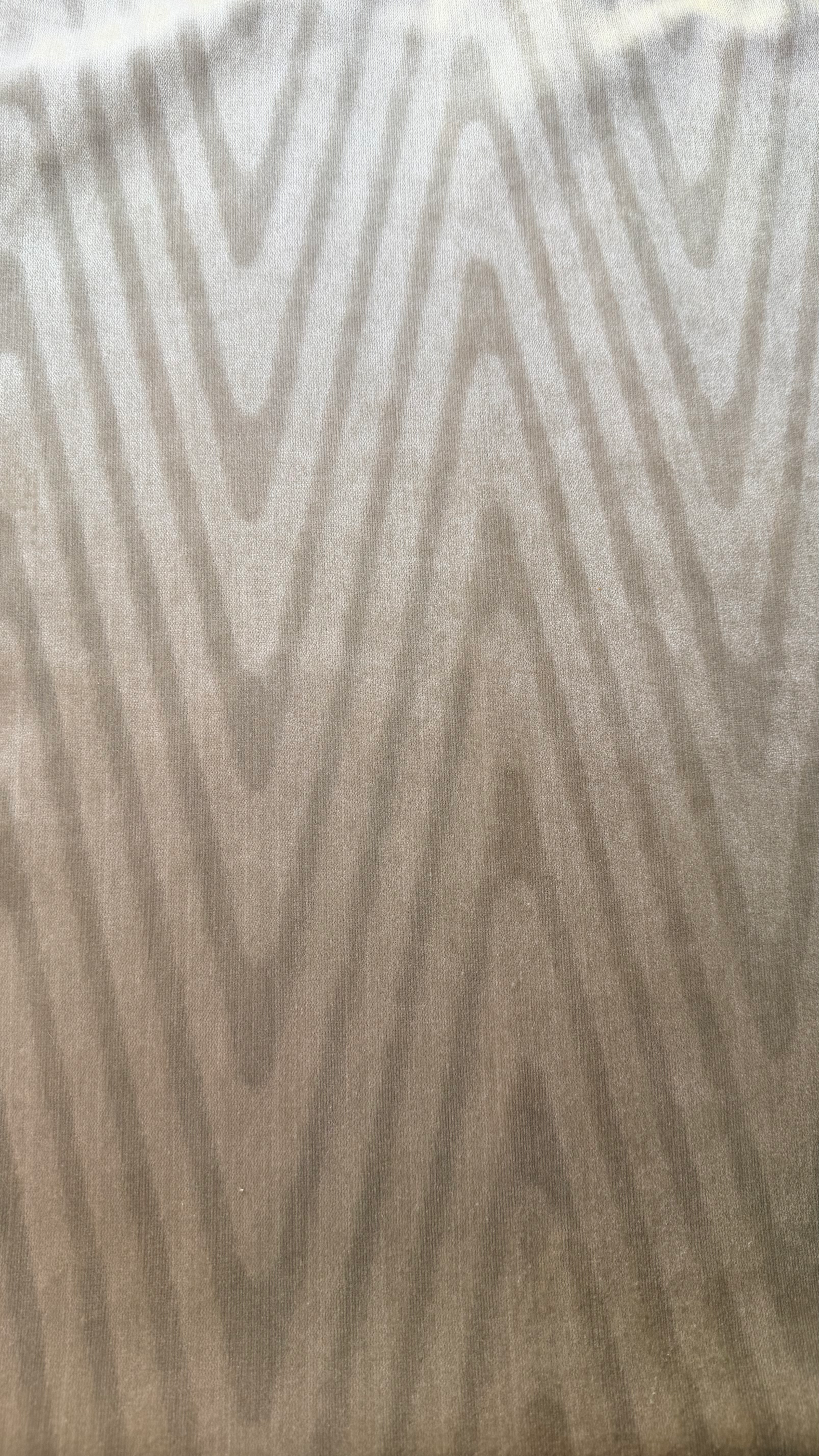 Velours zebré crème brillant