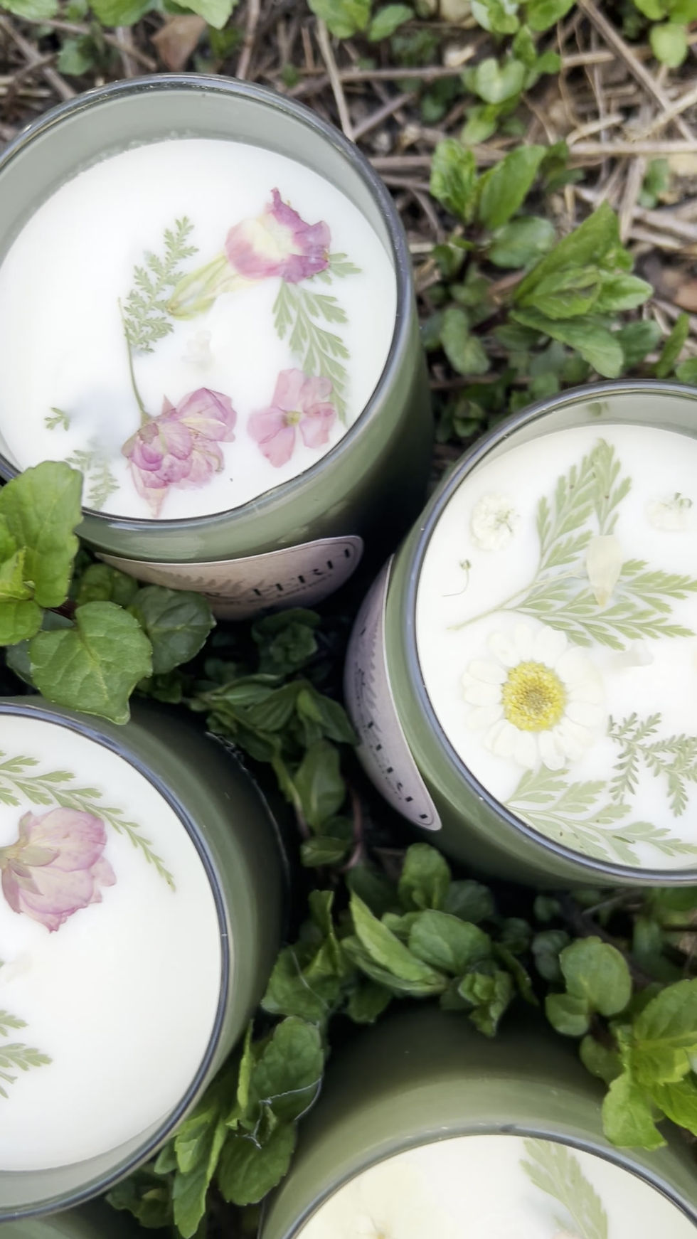 Thumbnail: Fae & Fern Botanical Candle