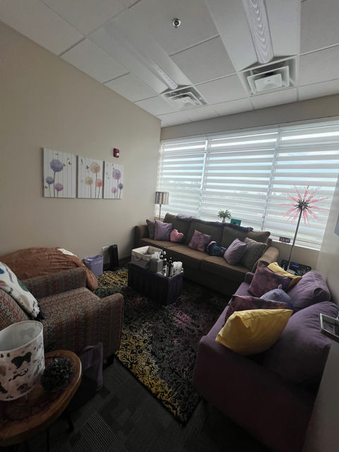Office 5-Purple and Dogs