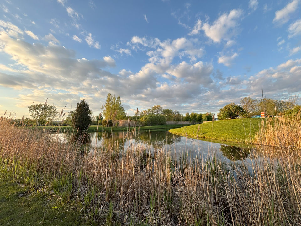 One of many ponds on site