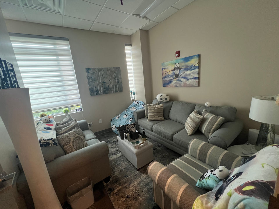 Office 4-Blue and Panda Bear themed